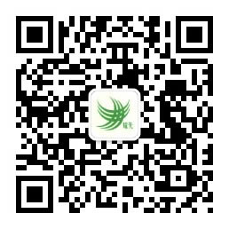 悟空体育环境公众号