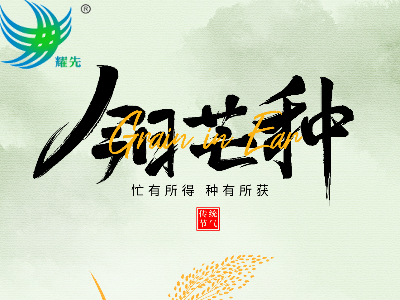 芒种遇世界环境日 | 耕耘希望，守护蔚蓝：悟空体育环境与您共赴绿色之约